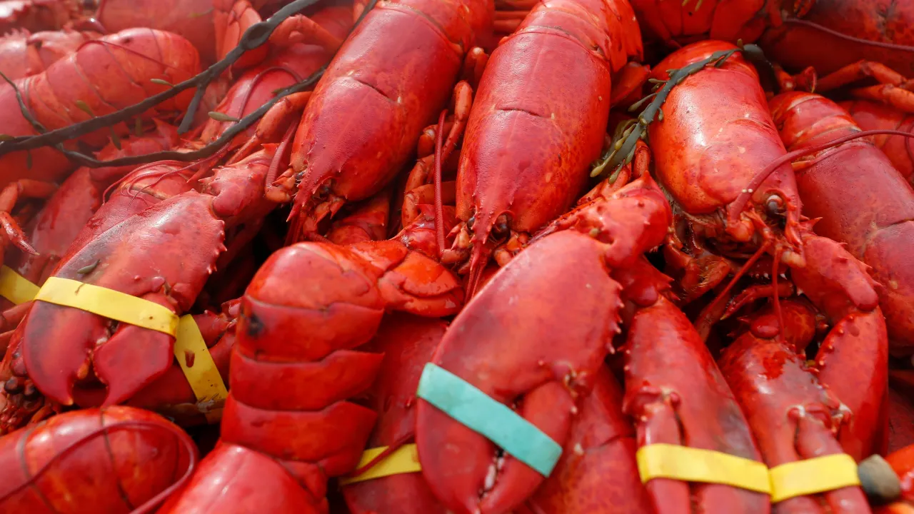 Oysters, crab and $400K worth of lobster stolen in New England